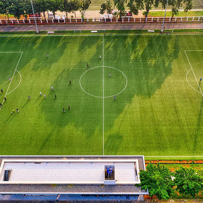 Sztuczna syntetyczna trawa do piłki nożnej 50 mm PE