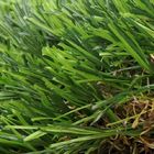Luksusowa miękka sztuczna trawa na podwórku do recyklingu sztucznej trawy na plac zabaw