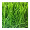 Architektura krajobrazu Sztuczna trawa dla zwierząt domowych 20 mm Odporność na promieniowanie UV