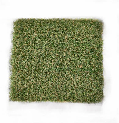 Wewnętrzna sztuczna murawa golfowa SGS 15 mm Putting Green