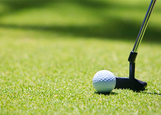 Ogród Realistyczny Natural 10mm Sztuczna murawa golfowa Zielony Oem